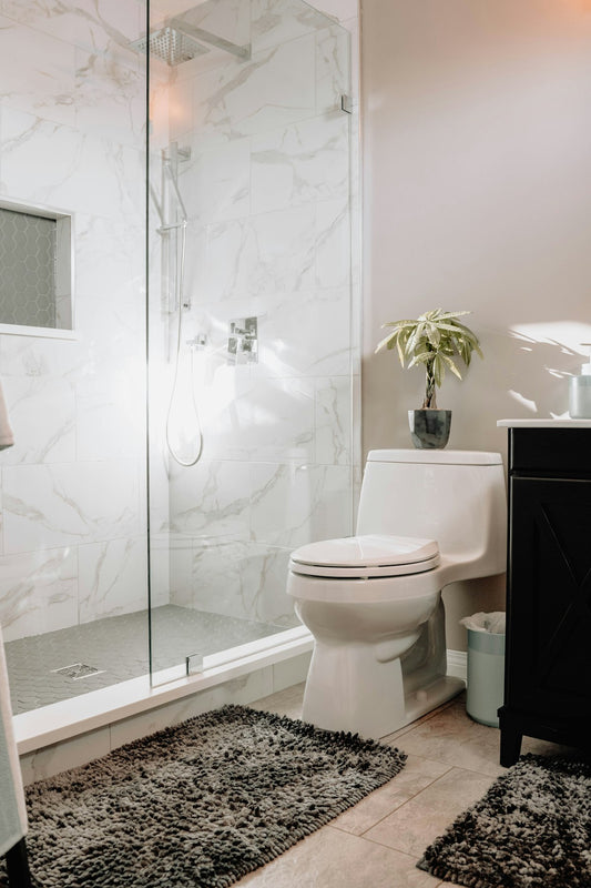 Modern white bathroom with toilet — wall hung vs floor mounted toilet India