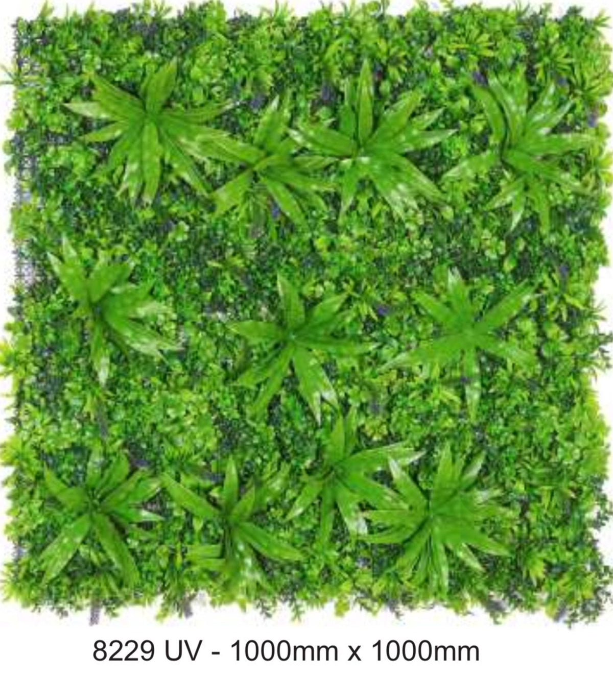 Plastic materials | Evergreen