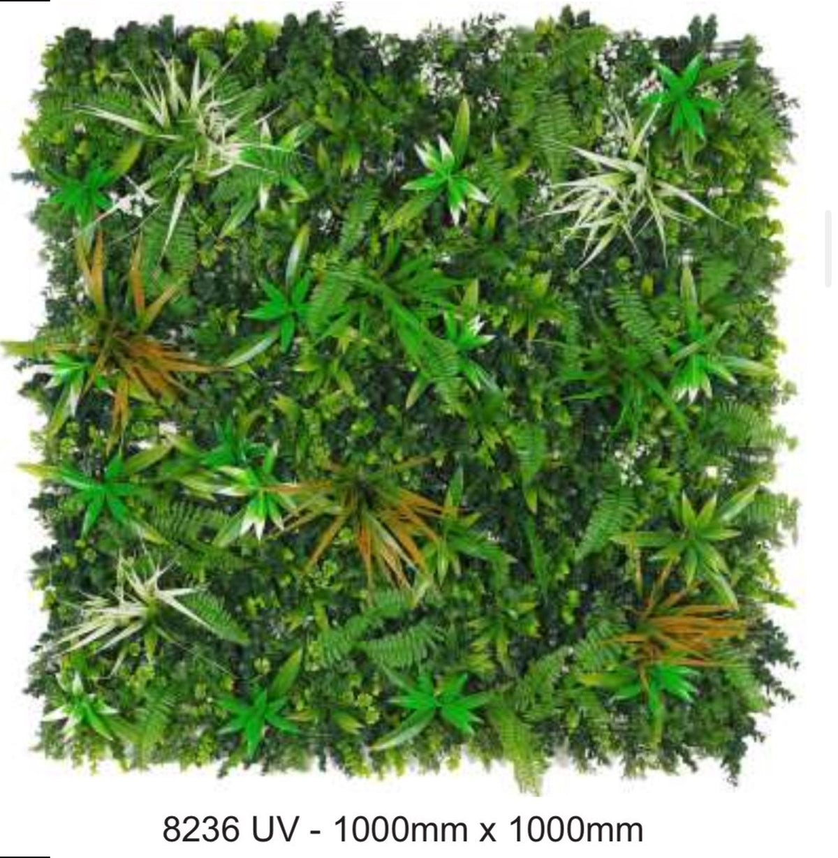 Plastic (PE/PP) | Evergreen