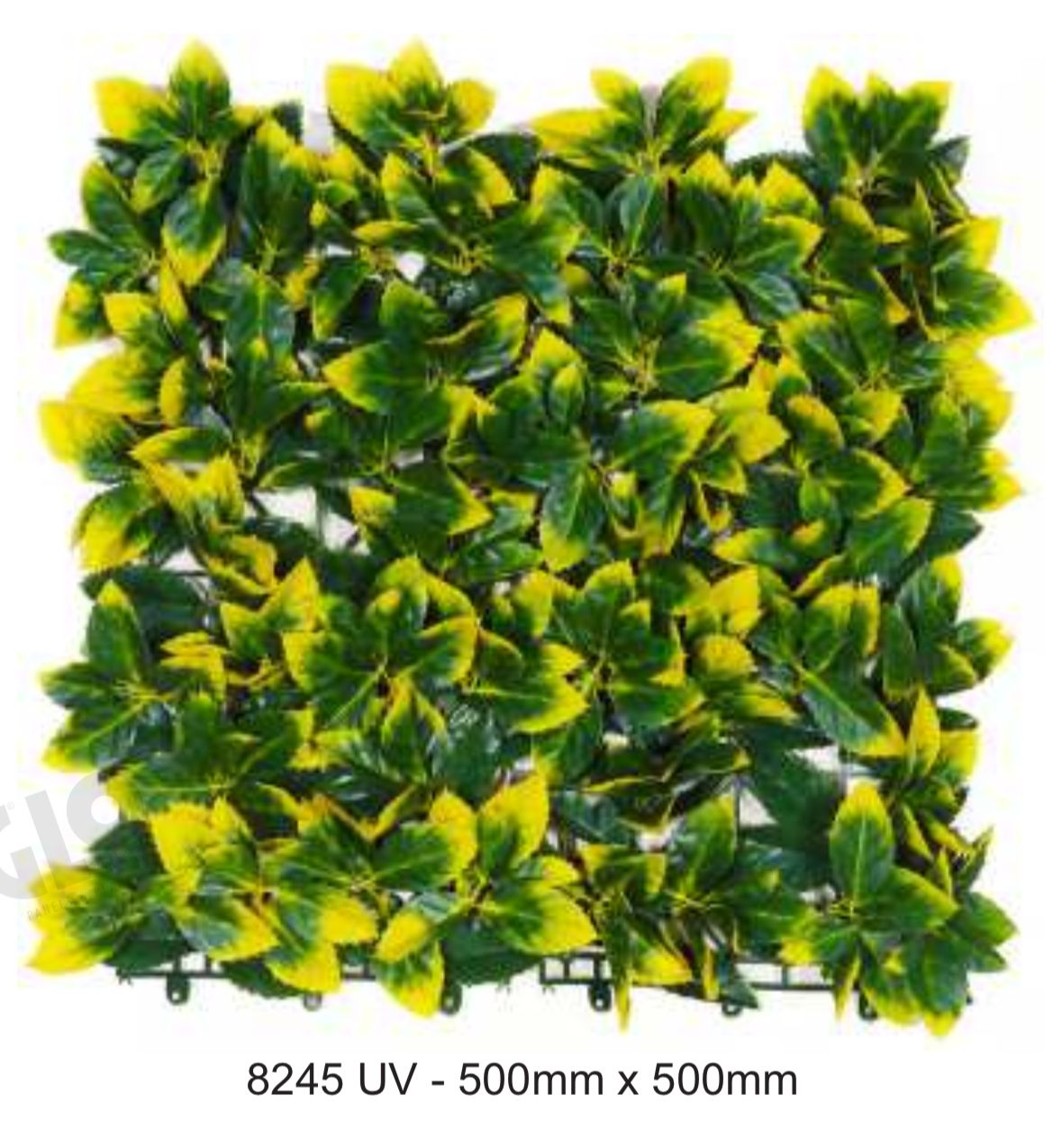 High-density polyethylene (PE) or PVC plastic | Evergreen